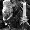 象の像 2