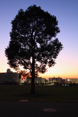 夜のとばり01