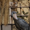 ん？。誰か呼んだ？