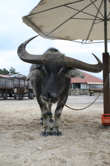 従業員の昼休み