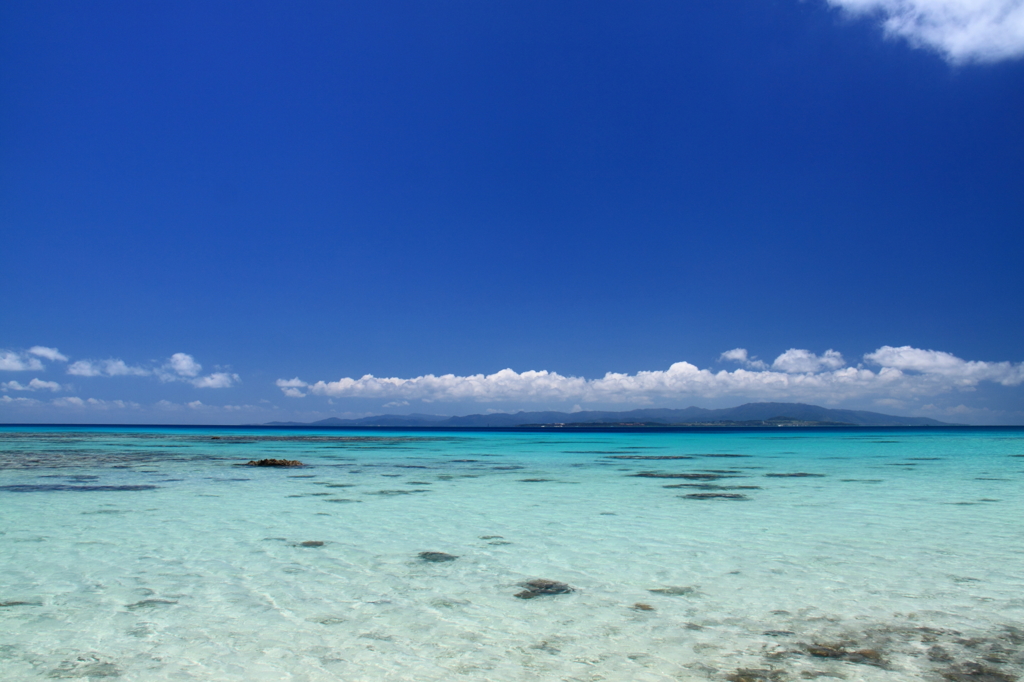 遠浅の海