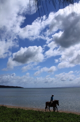 真夏の海辺を