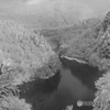 白と黒の世界