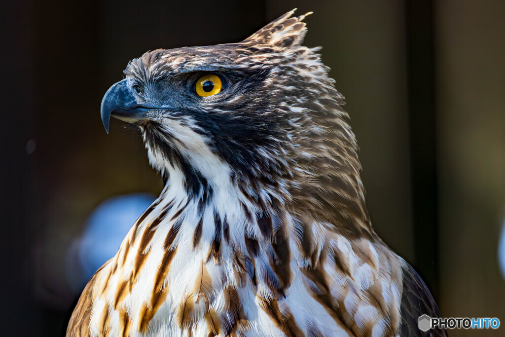 何を見つめる？