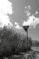 日本最南端の標識