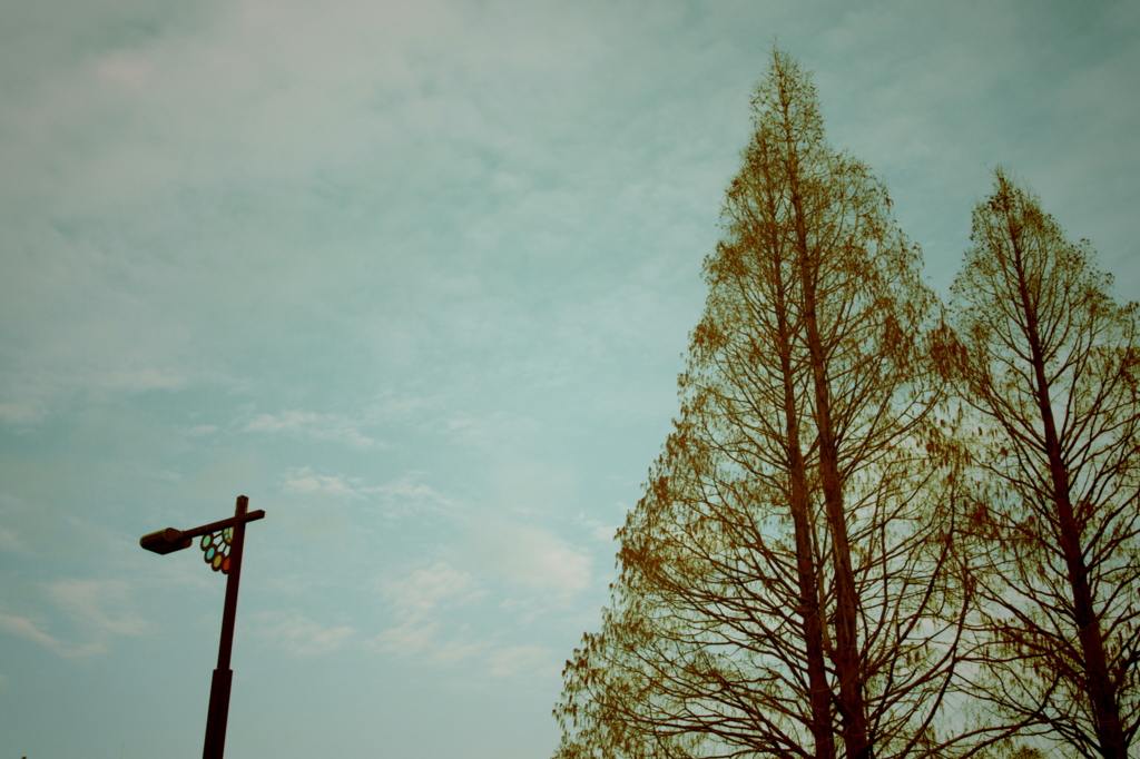 skytreestreetlight