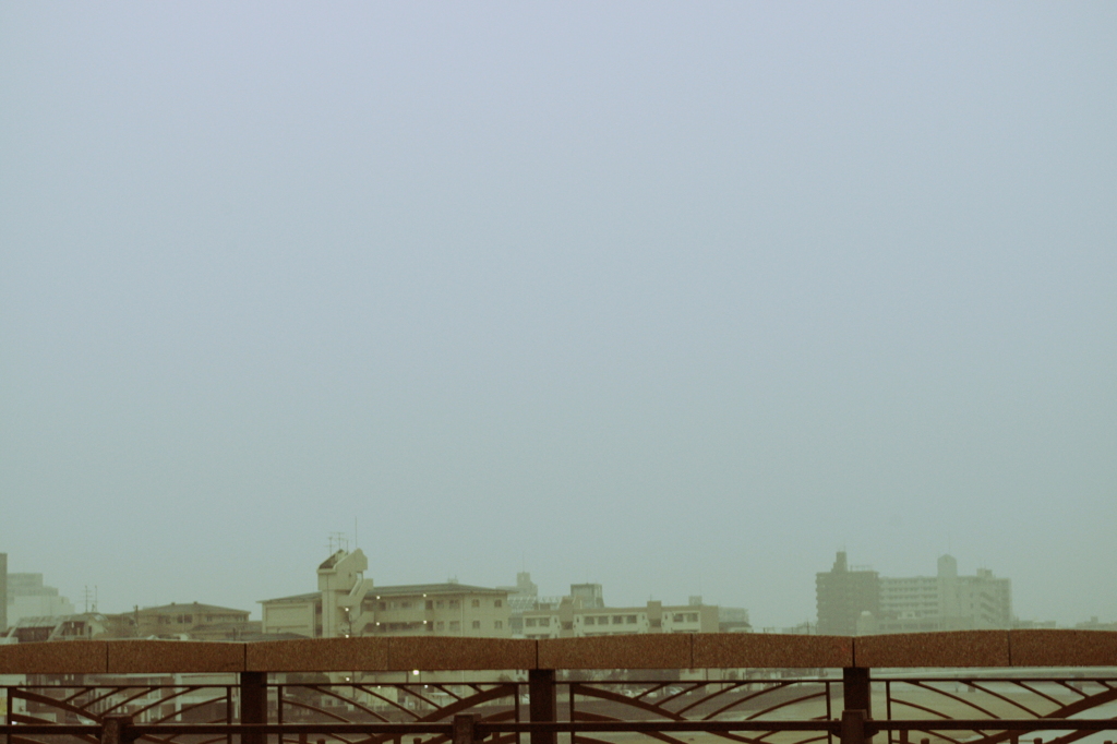 雨の朝