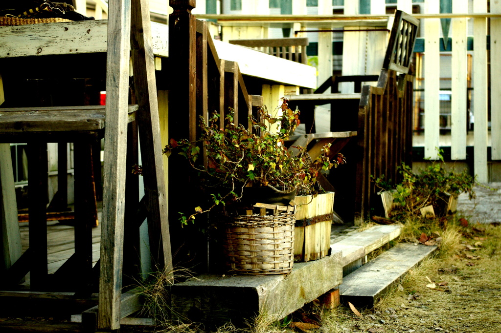 terrace