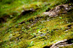 _DSC0018