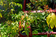 DSC02457