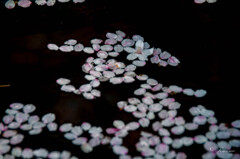 _DSC0023