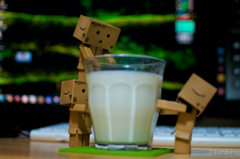 danbo