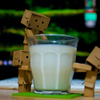 danbo