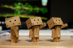 Danboard