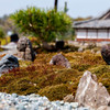 小さな庭園