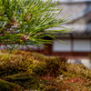 小さな庭園