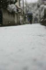 東京に雪が降った日6