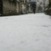 東京に雪が降った日6