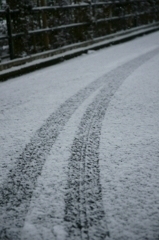 東京に雪が降った日3