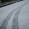 東京に雪が降った日3