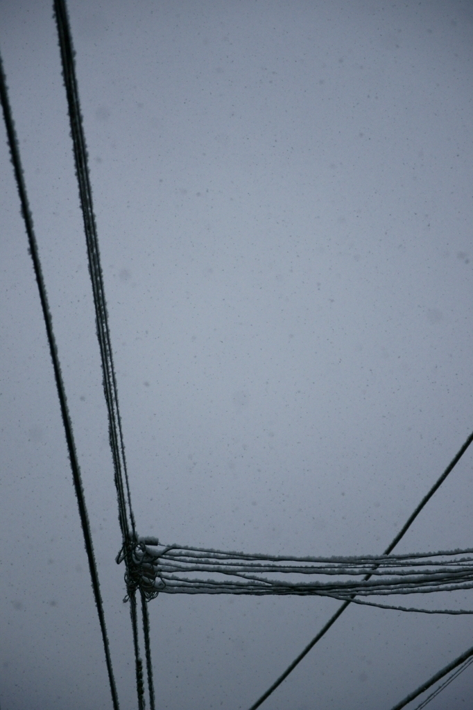 東京に雪が降った日2