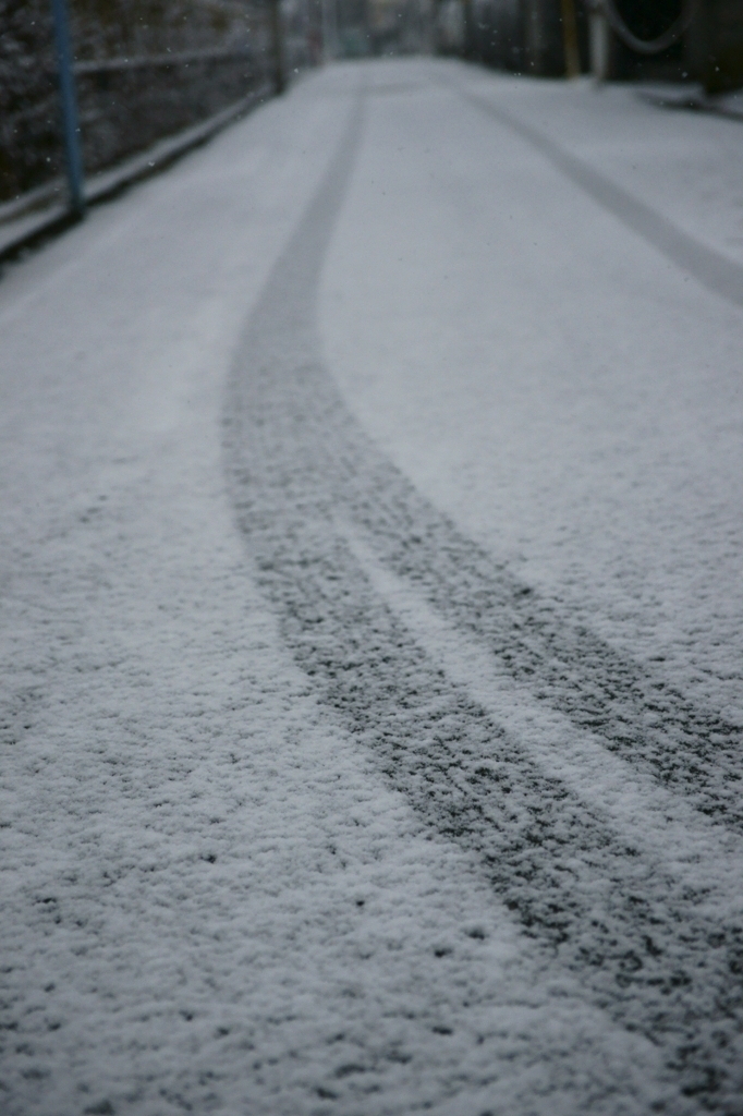 東京に雪が降った日4