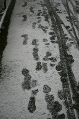 東京に雪が降った日5