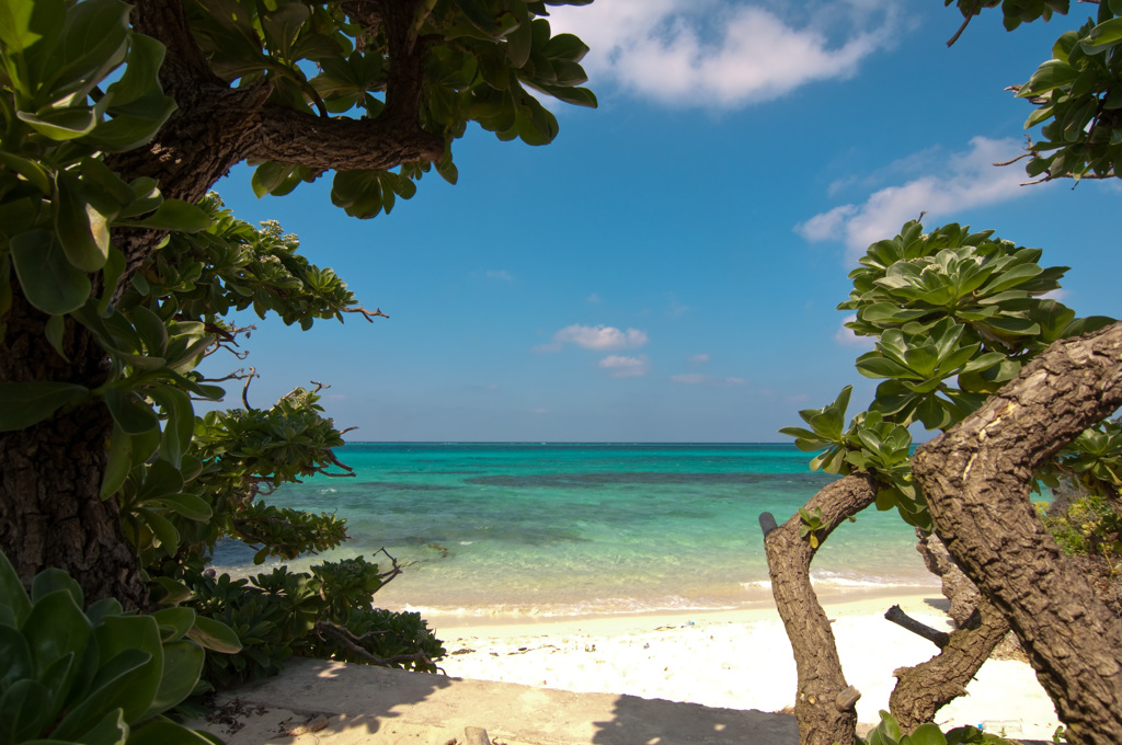 宮古へようこそ