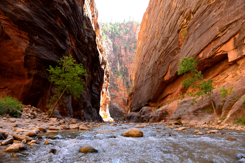 The Great Earth-Zion Narrows