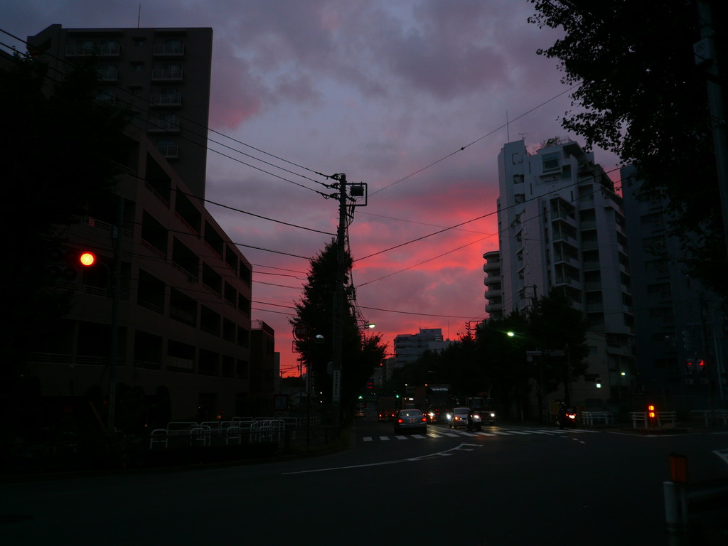 紅く染まる朝