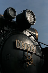 D51