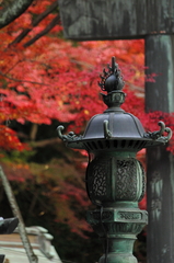 紅葉