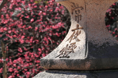 昼間は梅に照らされて