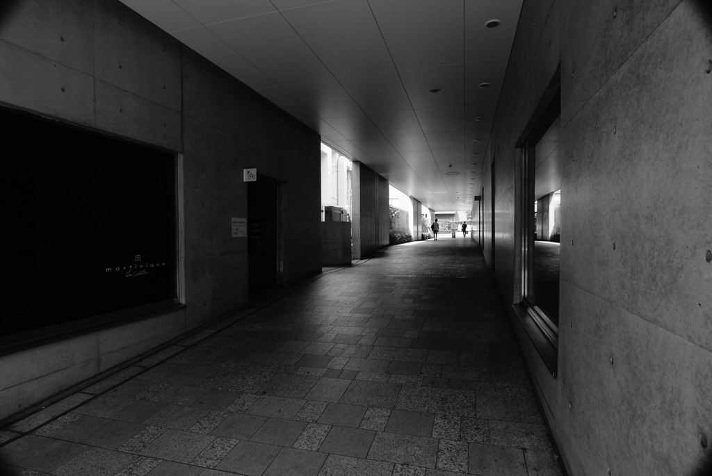 DSC00697