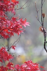 雨上がり