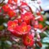 DSCN0741