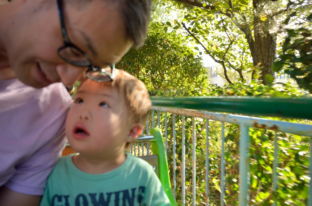 ちょっとピンボケ