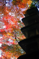 20091126_138