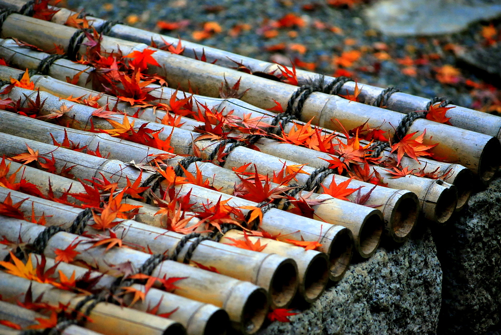 2009.11.21.         高台寺 (20)