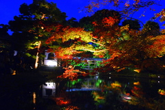 2009.11.21.         高台寺 (95)