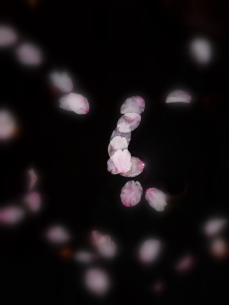 花散らし