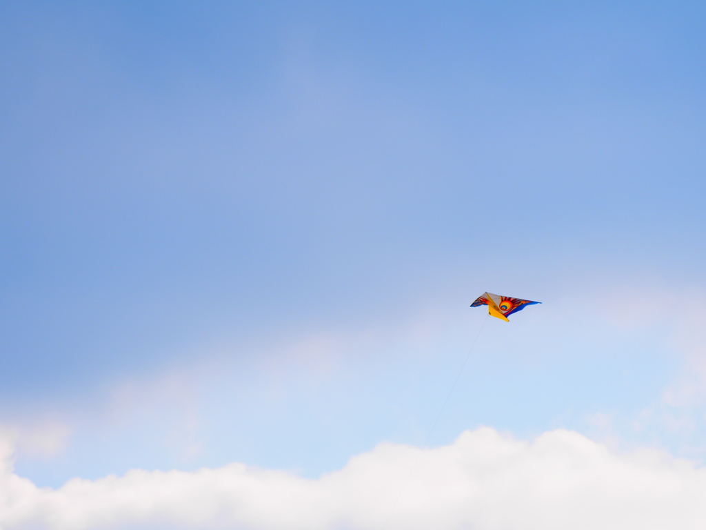 Kite