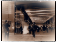 Tokyo bride