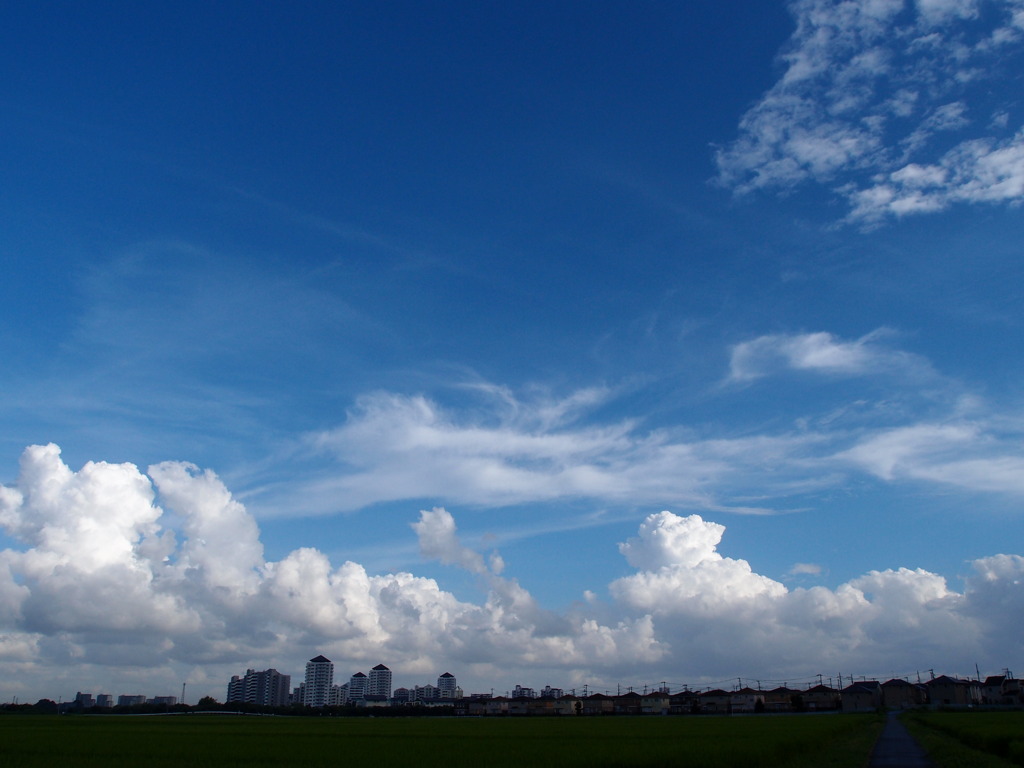 夏空