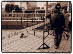 Young photographer