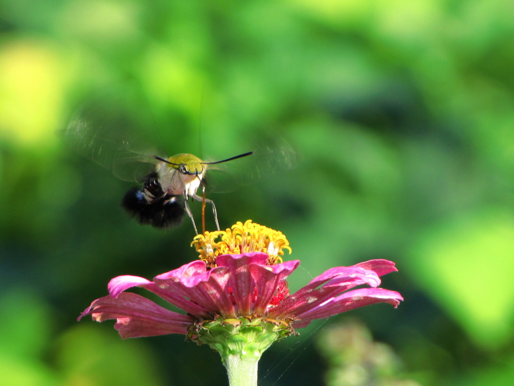 何見てんのよ～～