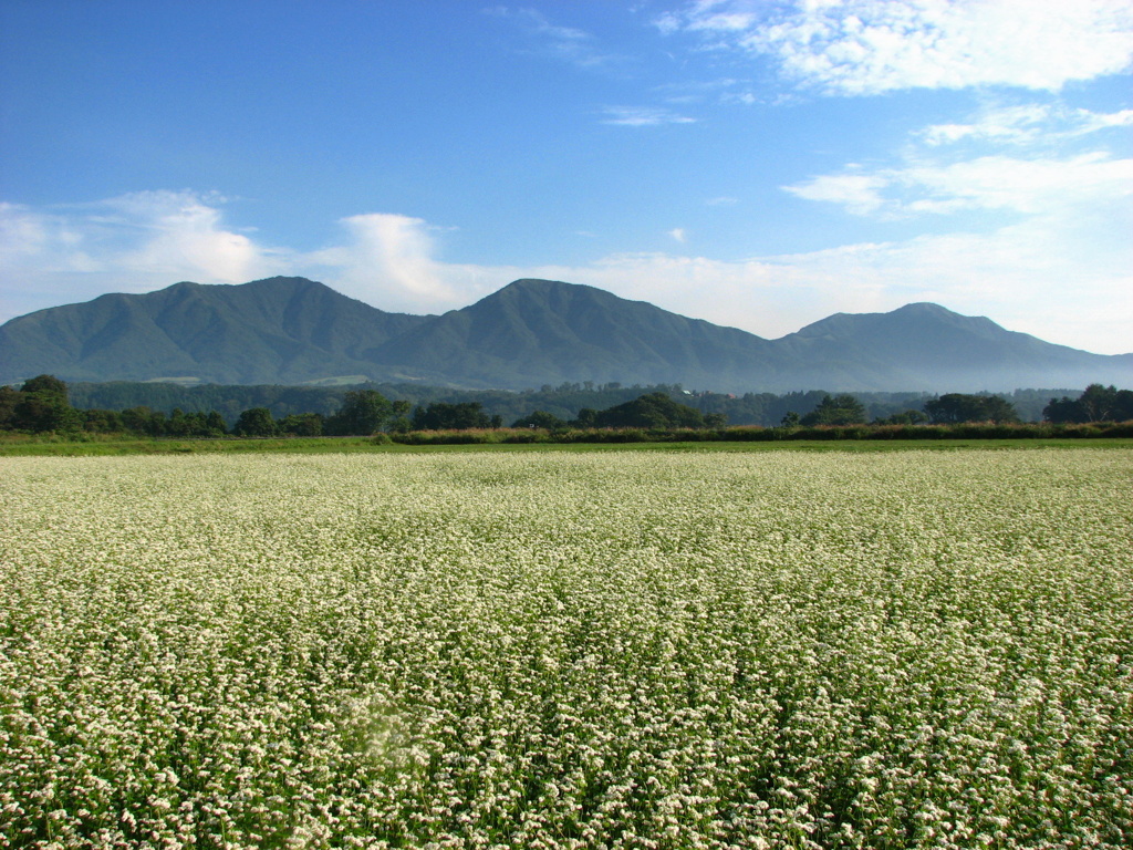 蒜山三座の朝