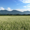 蒜山三座の朝