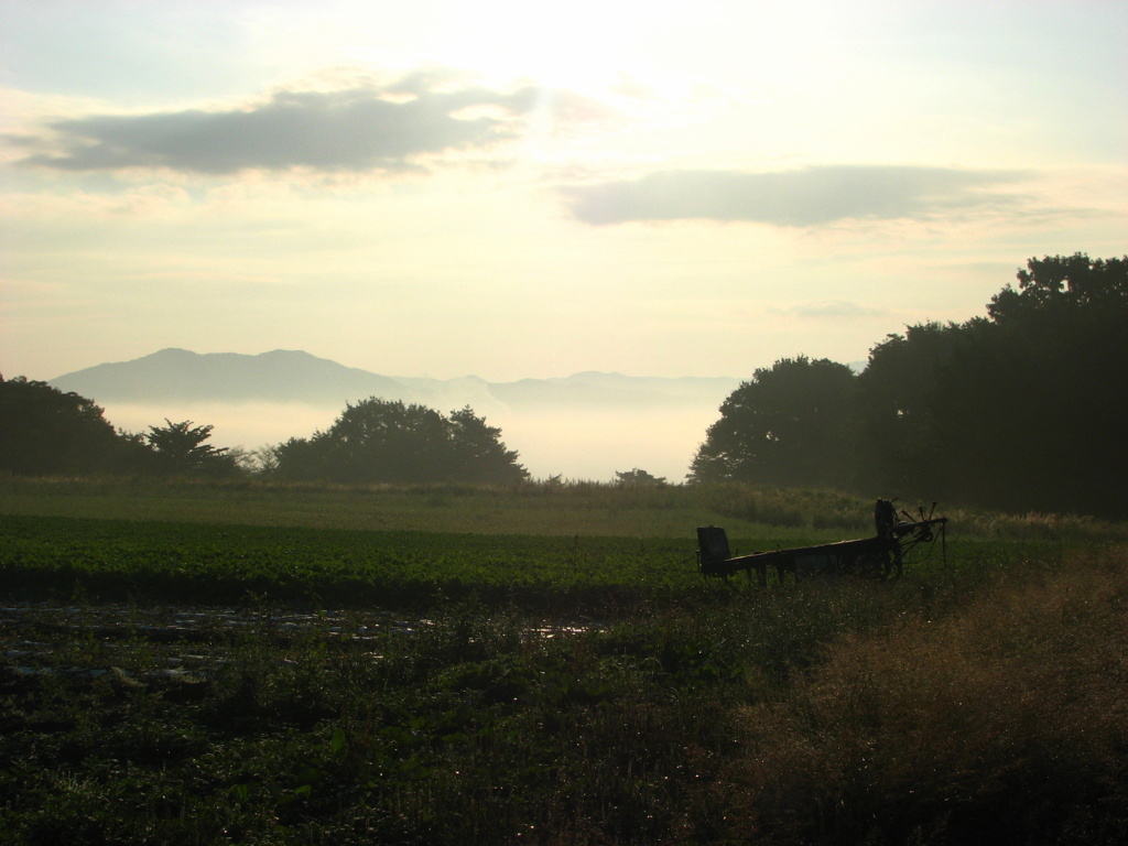 高原の朝