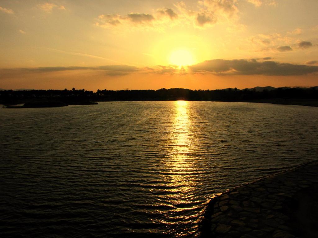 夕陽道